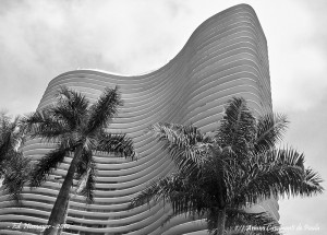 Ed. Niemeyer | Ariano Cavalcanti de Paula